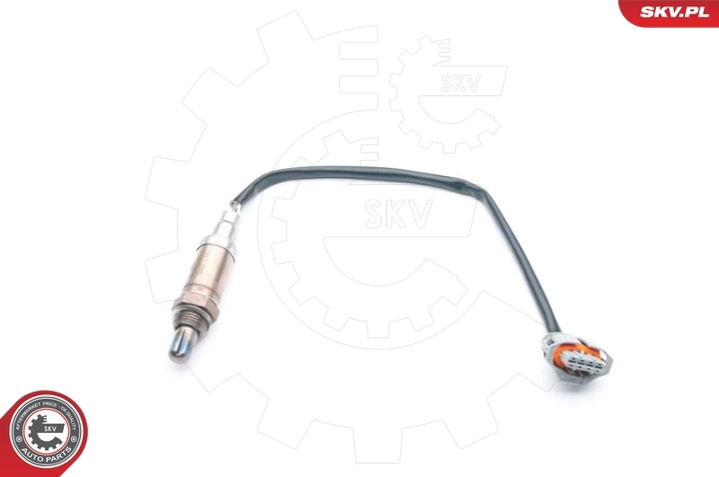 Oxygen Sensor